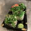Crispy vegi roll